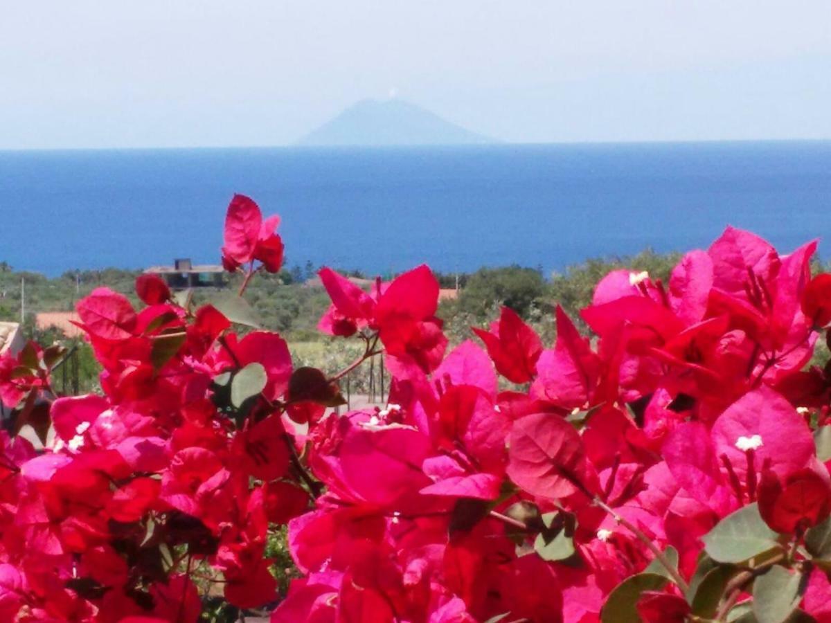 Villa Macria Capo Vaticano Exterior foto